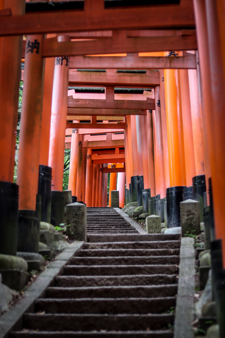 Cesta tísíce bran k vrcholu hory Inari