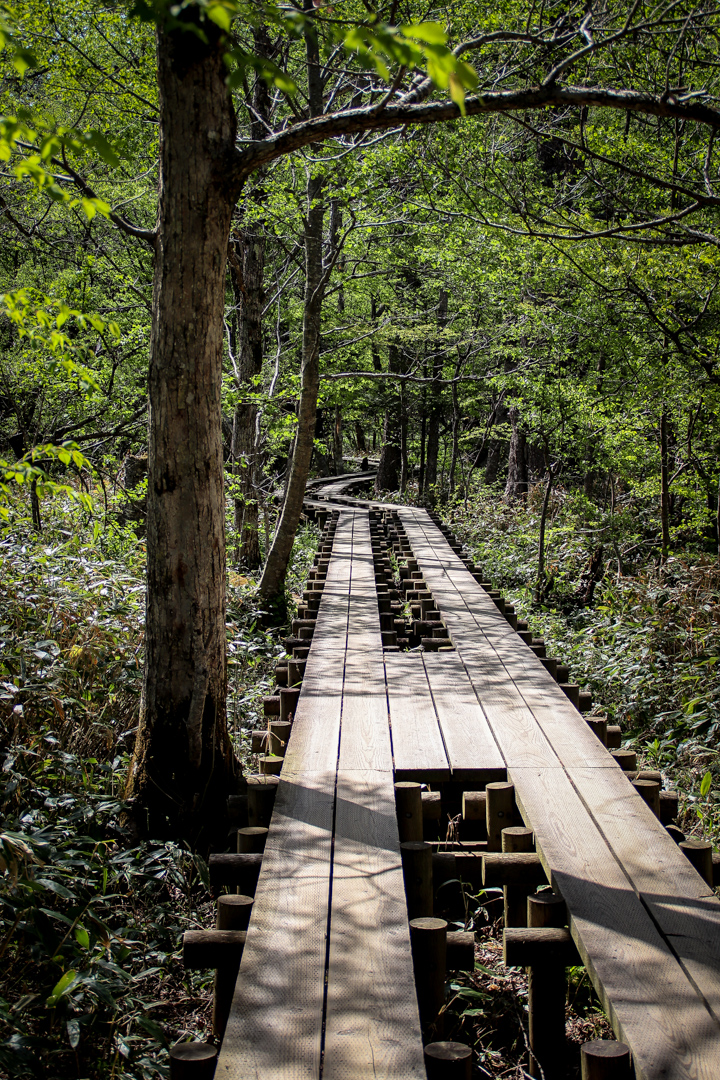 Vyvýšené pěší lavky